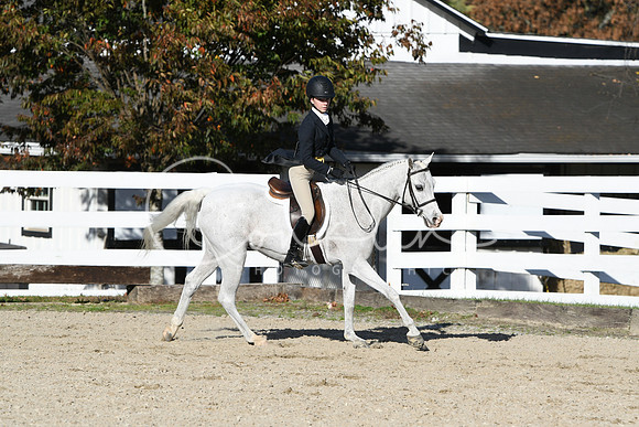HSM_2854