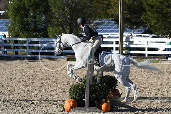 HSM_2863