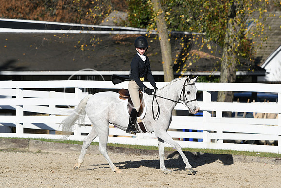 HSM_2979