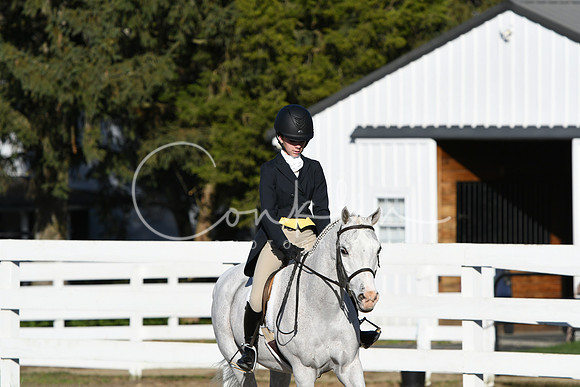 HSM_2980