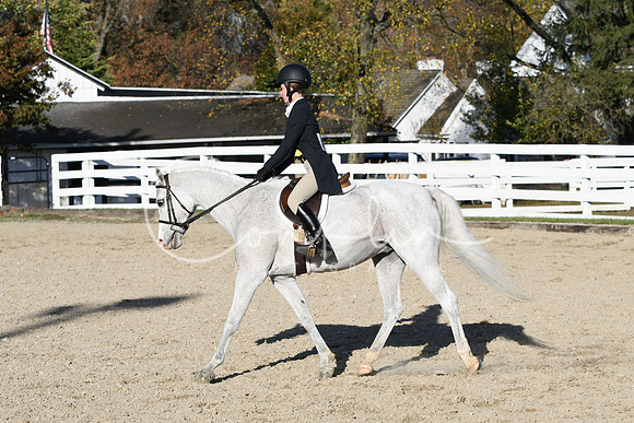 HSM_2981