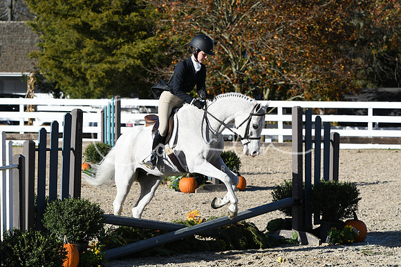 HSM_2988