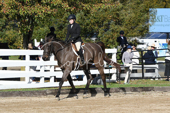 HSM_1720