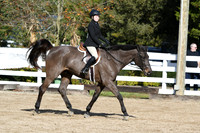 HSM_1729