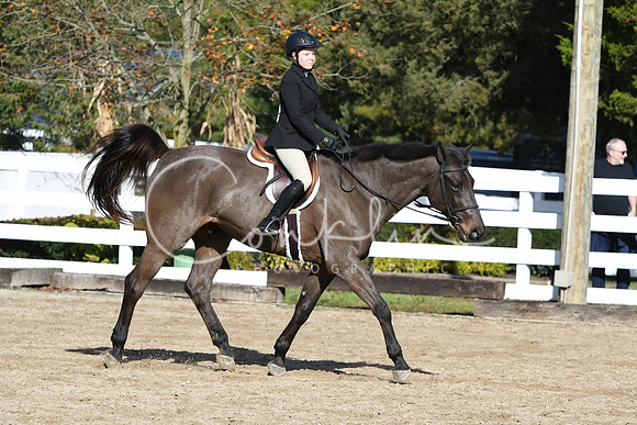 HSM_1729