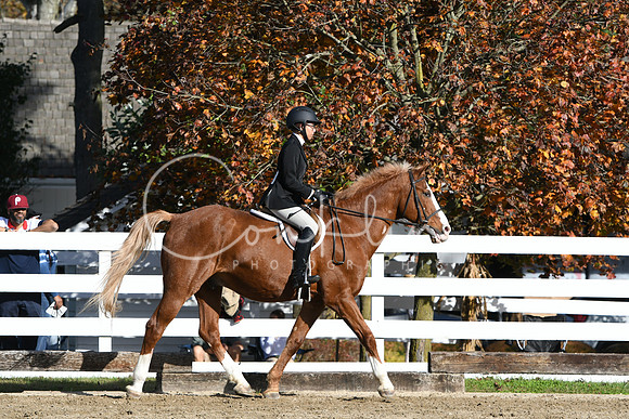 HSM_1693