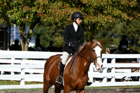 HSM_1733