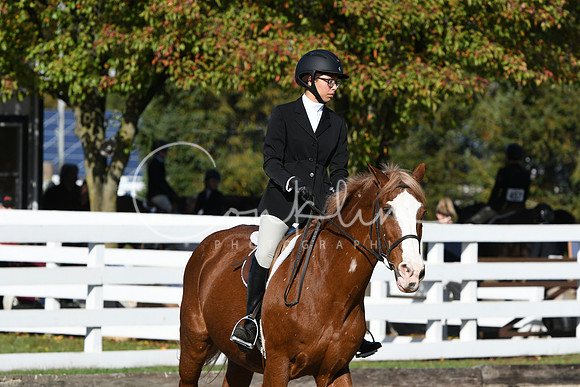 HSM_1733