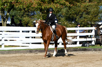 HSM_1732