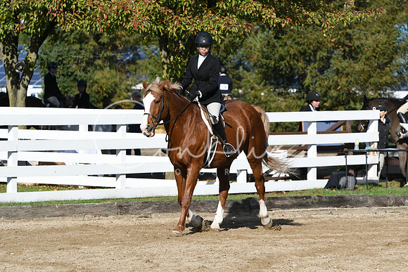 HSM_1732
