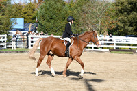 HSM_1734