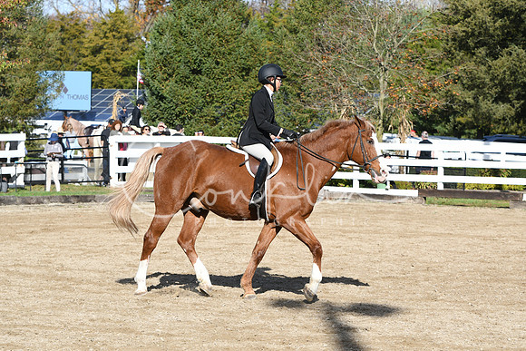 HSM_1734