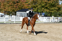 HSM_1736