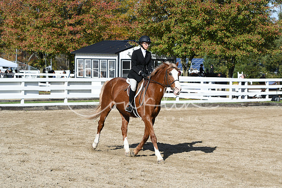 HSM_1736