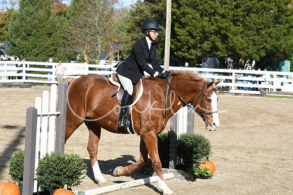 HSM_1737