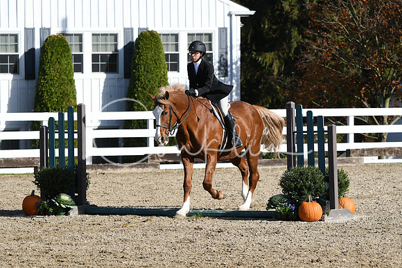 HSM_1738