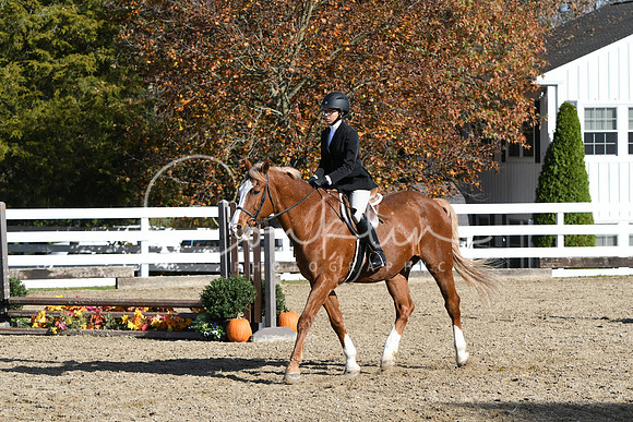 HSM_1739