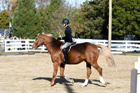 HSM_1741