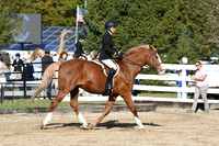 HSM_1743