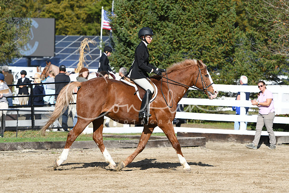 HSM_1743