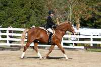 HSM_1744
