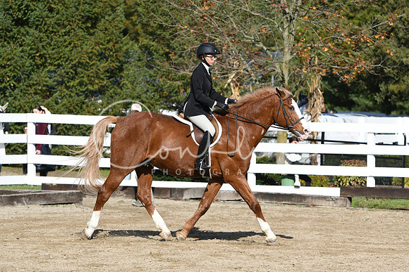 HSM_1744