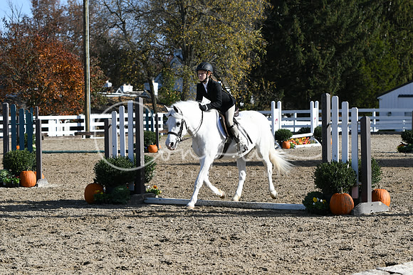 HSM_1766
