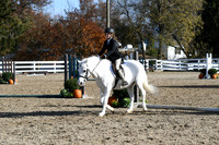 HSM_1767