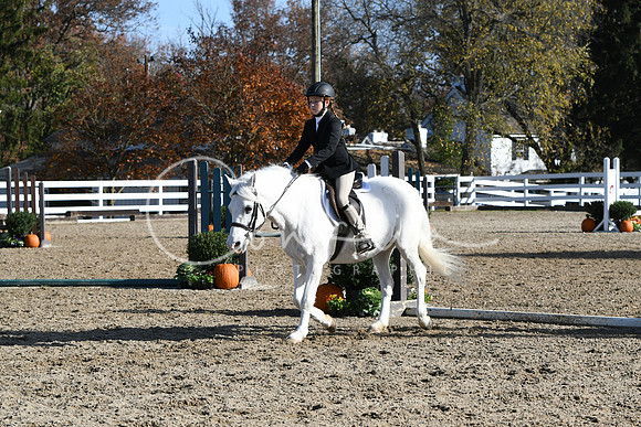 HSM_1767