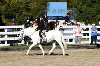 HSM_1794