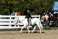 HSM_1795