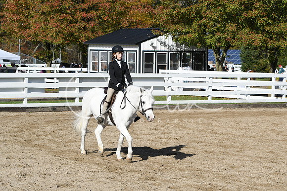 HSM_1798