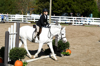HSM_1799