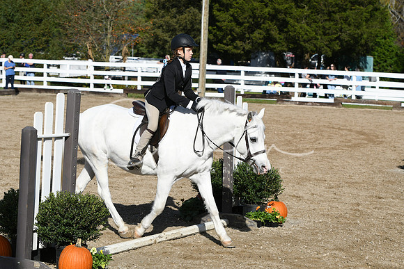 HSM_1799