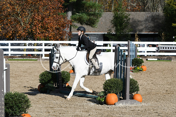 HSM_1802