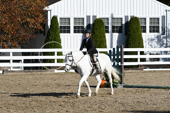 HSM_1801