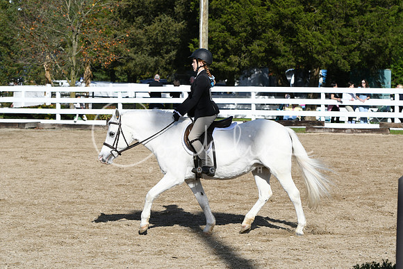 HSM_1803