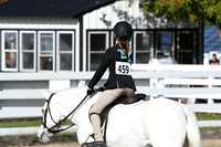 HSM_1804