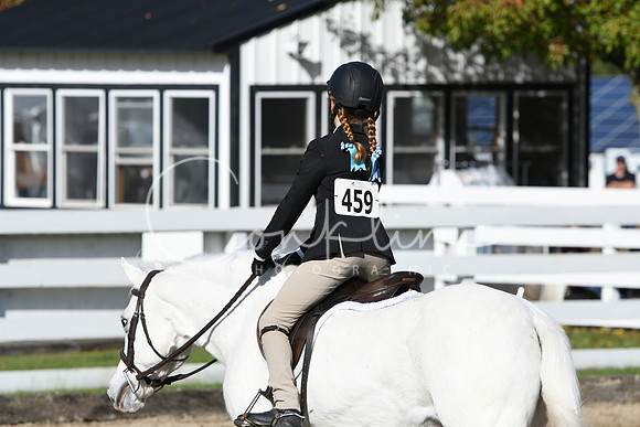 HSM_1804