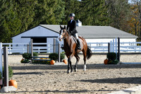HSM_1773