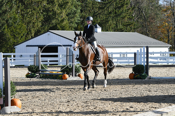 HSM_1773