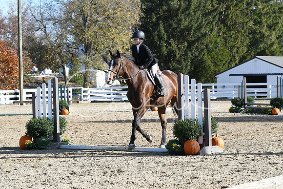 HSM_1774