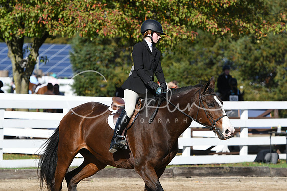HSM_1812