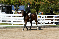 HSM_1811