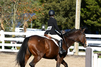 HSM_1813
