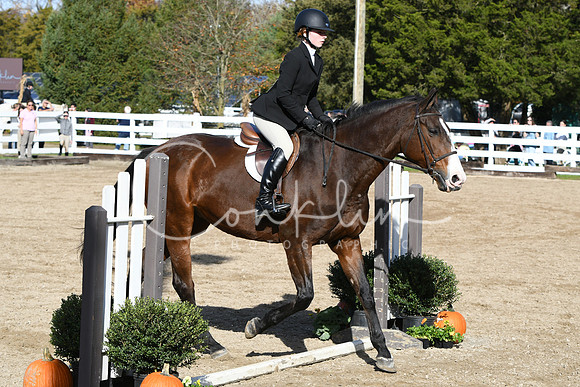 HSM_1817
