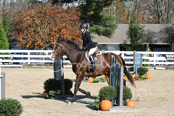 HSM_1820
