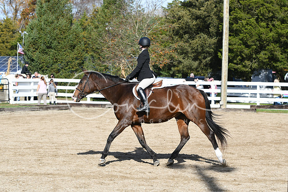HSM_1823