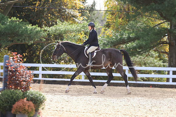 RJC37992