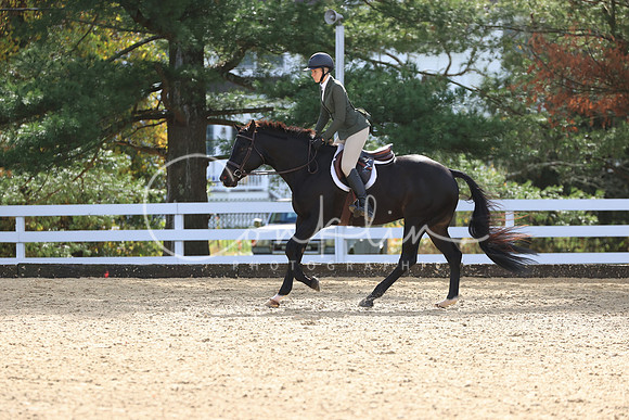 RJC38008